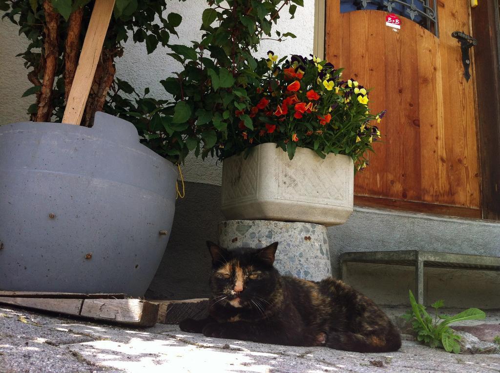 Bnb Guesthouse Lusi Frauenkirch ภายนอก รูปภาพ