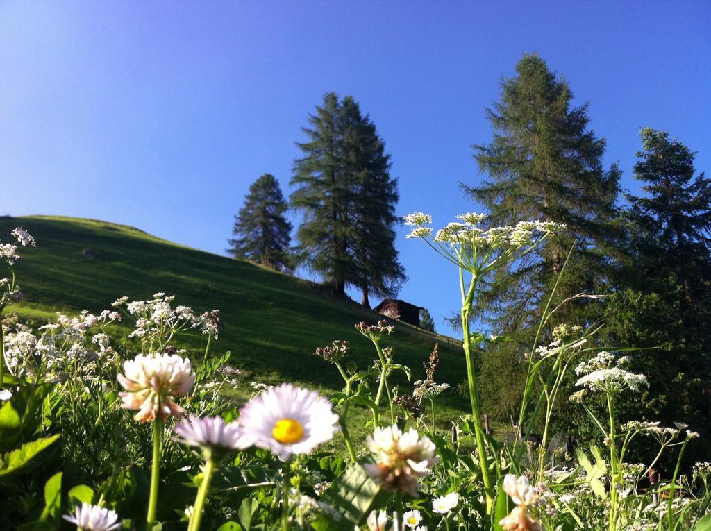 Bnb Guesthouse Lusi Frauenkirch ภายนอก รูปภาพ