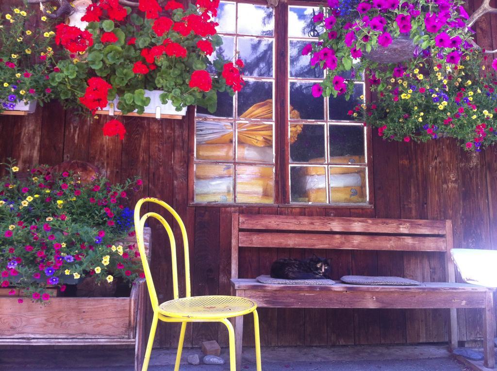 Bnb Guesthouse Lusi Frauenkirch ภายนอก รูปภาพ